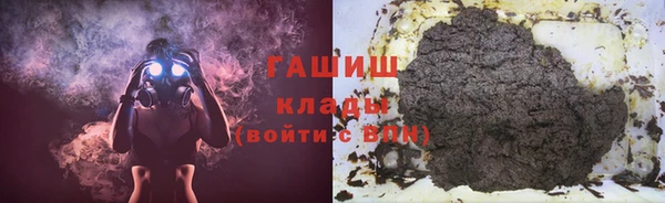 хмурый Алексин