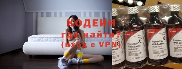 хмурый Алексин