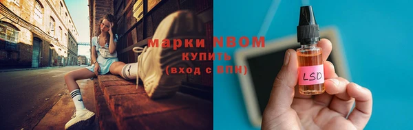 хмурый Алексин