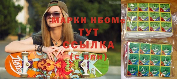 хмурый Алексин
