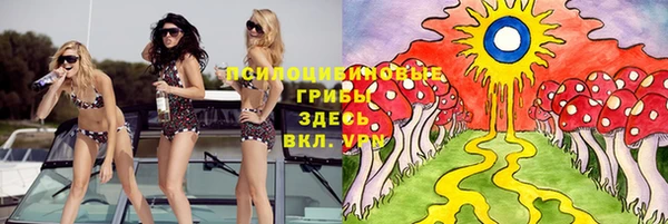 таблы Алексеевка