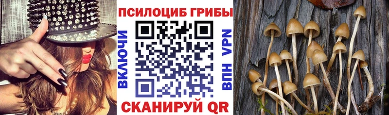 Галлюциногенные грибы ЛСД  Ухта 